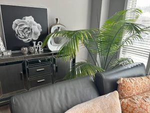 Gallery Thumbnail 1